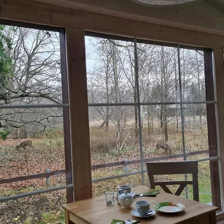 Spreewaelder Feriendomizil/pension 게스트하우스