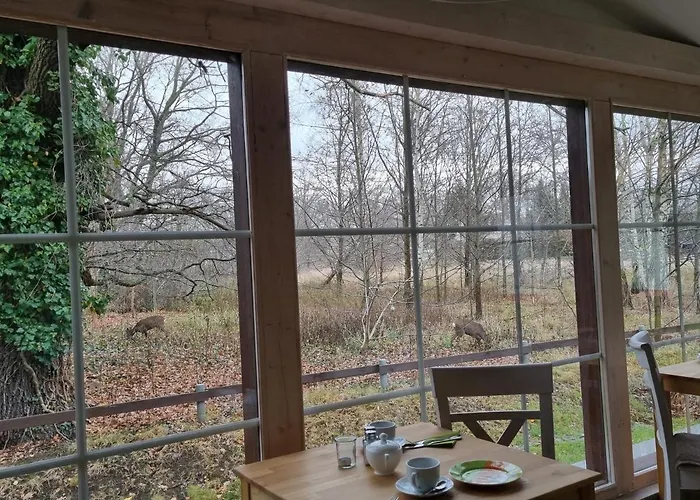 Spreewaelder Feriendomizil/pension Pensionat